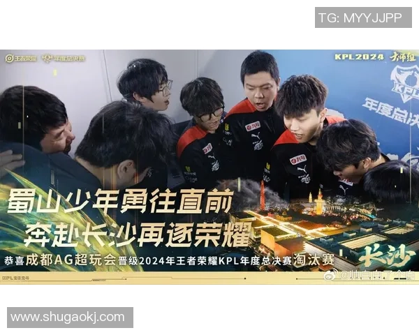 TES战胜AL成功晋级季后赛 全员表现出色展现强大实力