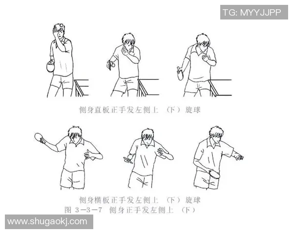 乒乓球运动的魅力与技巧探秘：从基础知识到进阶训练全面解析