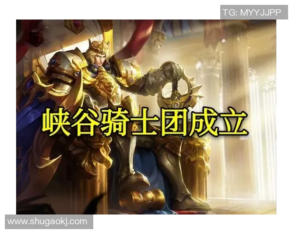 以骑士中路为核心分析战术布局与英雄选择策略