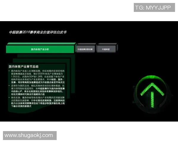 全球顶级足球联赛格局演变与现代职业体育产业发展的深度解析